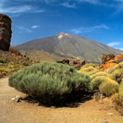 Parque teide