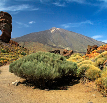 Parque teide