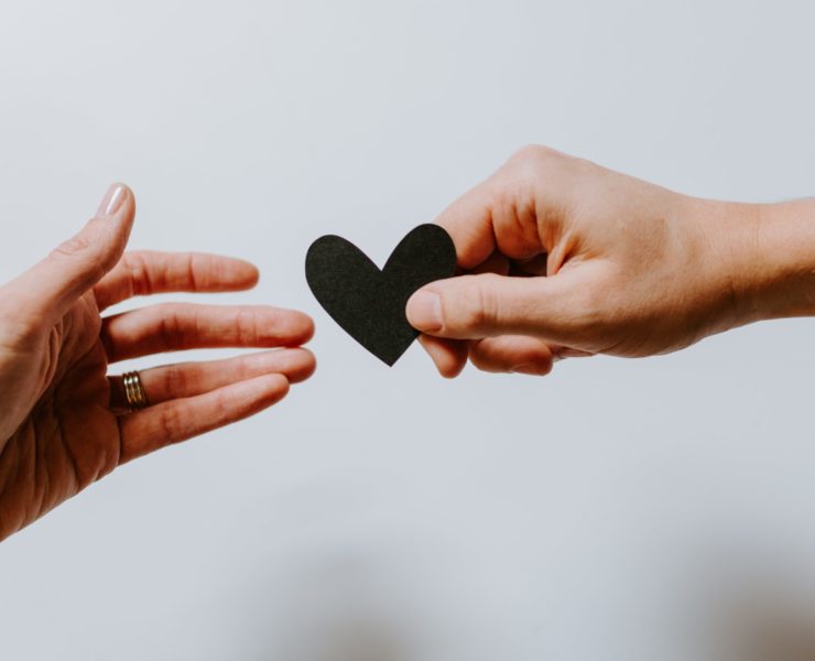 Bienestar mental New Rule Magazine