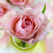 rutina facial doble limpieza coreana