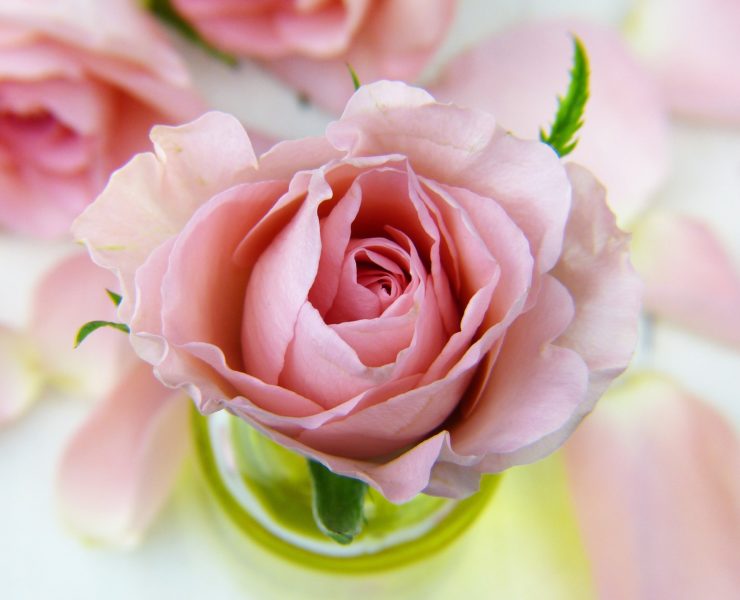 rutina facial doble limpieza coreana