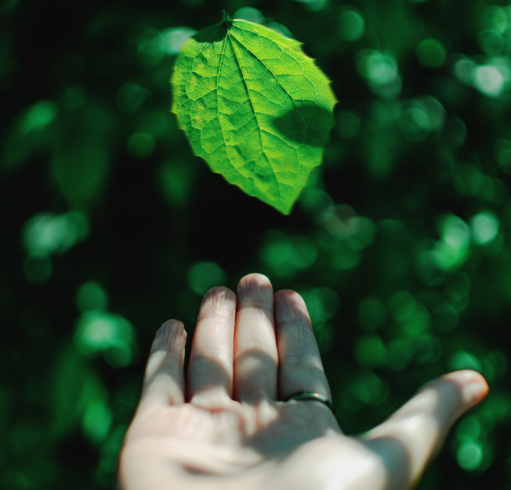 Famosos y sostenibilidad- NRM