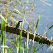 Destinos con el aire más puro new rule magazine